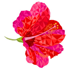Flowers tropical plant  hibiscus red pink polygons   on a white background  vintage vector illustration editable hand draw