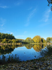 Fototapeta premium Trees reflection on the lake in a nice weather