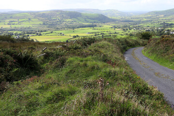 Scenery off the road from Killaloe to Kilbane - County Clare - Ireland - obrazy, fototapety, plakaty