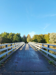 Wooden path near the lake in Dordrecht