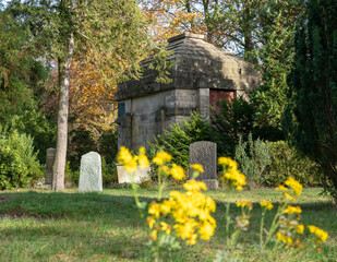 altes Mausoleum zwischen Büschen und Bäumen auf einem Friedhof in Osnabrück