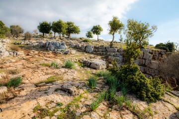 اشجار وأثار الجبل الاخضر العجيبة- الاردن-The amazing trees and effects of the Green Mountain- Jordan