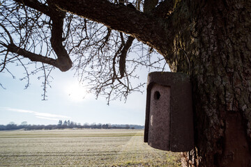 An old beehive hanging on a tree near a field in the winter season