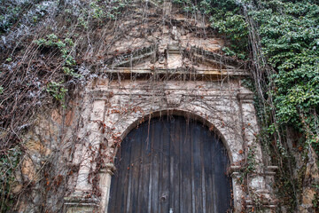 Wooden doors covered under plants growing on it, wooden doors in the ivy wall