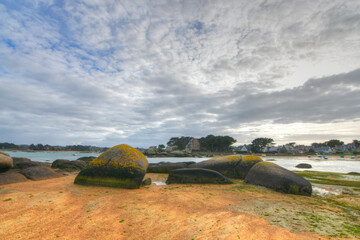 Paysage breton sur l'île Renote à Trégastel - France