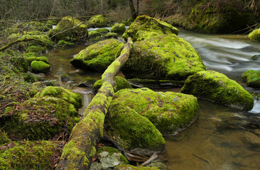 Wildbach im Allgäu.