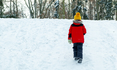 a boy walks through winter snow-covered forest. View from back.