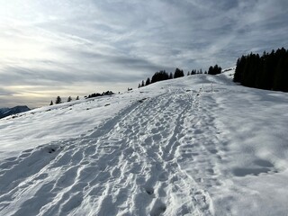 Wonderful winter hiking trails and traces in fresh alpine snow on the slopes of the Alpstein mountain range, Urnäsch (Urnaesch or Urnasch) - Canton of Appenzell Innerrhoden, Switzerland (Schweiz)