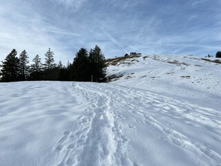 Obraz premium Wonderful winter hiking trails and traces in fresh alpine snow on the slopes of the Alpstein mountain range, Urnäsch (Urnaesch or Urnasch) - Canton of Appenzell Innerrhoden, Switzerland (Schweiz)