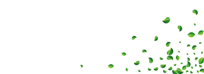 Mint Greens Flying Vector Panoramic White