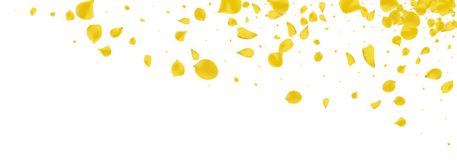 Canary Blossom Fall Vector Panoramic White