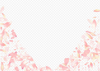 Fototapeta premium Light Rose Vector Transparent Background. Blossom