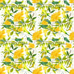 spring seamless hand draw pattern with yellow flowers on white background.hand painted mimosa flowers.repeat pattern 