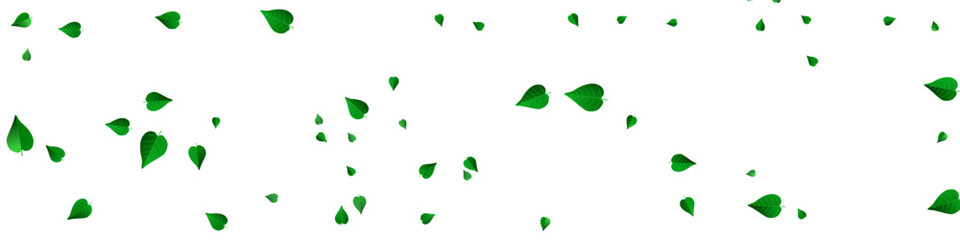 Mint Greens Realistic Vector Panoramic White