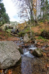 the beginning of autumn, the sources of the mountain river with rapids and whirlpools, the stone canyon of the stream, a panoramic view of the mountains.