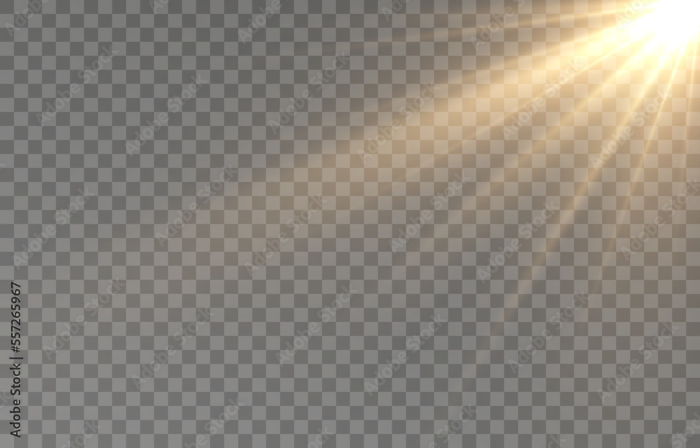 Wall mural light, sun on an isolated transparent background. the rays of the sun png. light png. sunrise sunset