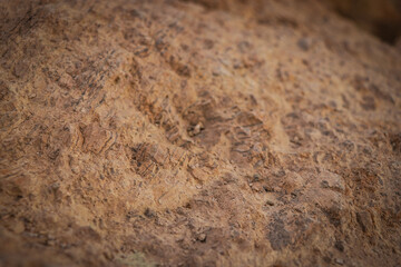 Fototapeta na wymiar Desert Rocks