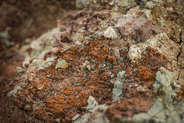 Death Valley Closeup