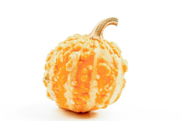 Decorative pumpkin isolated on a white background