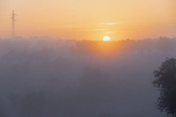Silhouette of an olive tree in the rural fields of Spain during an magical sunrise. The agricultural landscape is covered with veils of fog creating an awesome setting