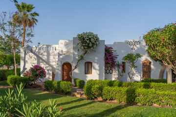 Fototapeta na wymiar White wall house and flower tree on street of Egypt in Sharm El Sheikh