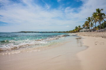 Caribbean beach with a lot of palms and white sand, Dominican Republic. Sunny warm day at the sea...