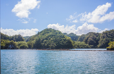 Rocky beach that juts into the sea and is overgrown with green shrubs. Overgrown coastline with rocks in the tropics. Blue ocean. Dominican Republic