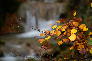Rivière en automne dans le Jura Suisse avec ces cascades en filé statique