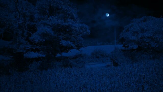 Farm Field And Gate In The Moonlight