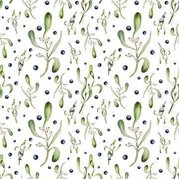 Seamless Pattern from Watercolor illustration of poisonous plants on white background. Mistletoe and Wolfberry