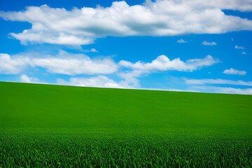 Obraz premium Field and clouds
