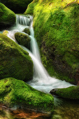 Rocky Smoky Mountains Waterfall