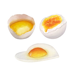 Breakfast, mixed eggs: fried, soft-boiled, raw. Hand drawn watercolor illustration isolated on white background. For menu, cookbook design