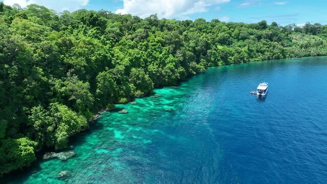 Lush jungle on a remote tropical island is fringed by a coral reef in the Solomon Islands. This beautiful country is home to spectacular marine biodiversity and many historic WWII sites.