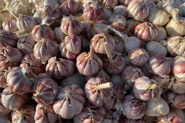 garlic on market stall