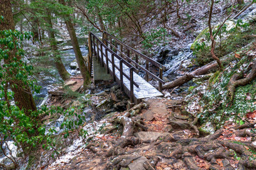 Hiking the Fiery Gizzard trail across a foot bridge by a mountain creek with a winter scene. In South Cumberland State Park, Tracy City, Tennessee USA.