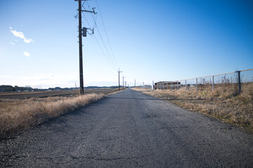 青空の下に広がる田舎道