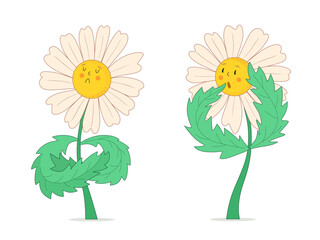 Chamomile flowers depicting emotions of resentment and surprise. Set of quarrel and astonishment icons. Vector cartoon illustration on white isolated background.