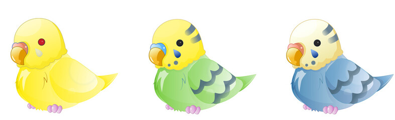 セキセイインコ