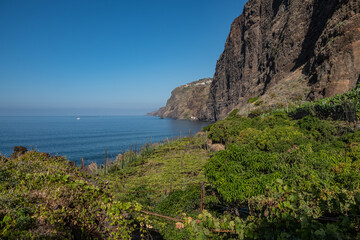 Biologic plantation near the sea - Madeira Island, Fajã dos Padres