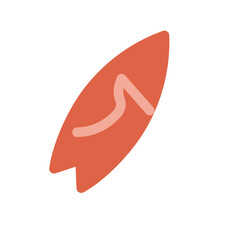 Surfboard Flat Icon