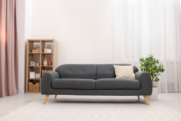 Stylish sofa and houseplant in room. Interior design