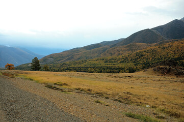Fototapeta premium Rocky glade with low sparse grass at the foot of a high mountain in the rays of the setting autumn sun.
