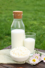 Tasty fresh milk and cottage cheese on wooden table outdoors