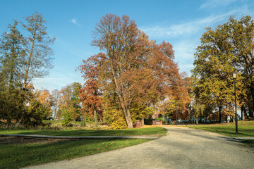 Picturesque view of park with beautiful trees and pathway on sunny day. Autumn season