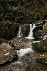 Fototapeta premium Beautiful view of mountain waterfall, rocks and green plants