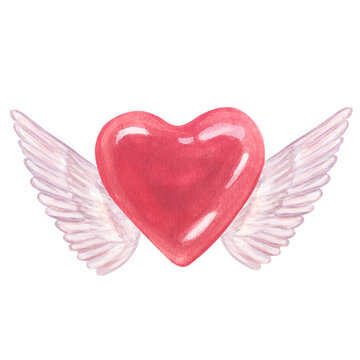 Cute pink heart with white angel wings. Hand drawn watercolor illustration. Design element, ideal for postcards, invitations