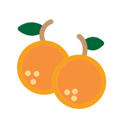 Orange Flat Icon