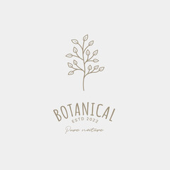 Hand drawn feminine signs or logo templates, floral illustration with typography, a botanical logo for your business