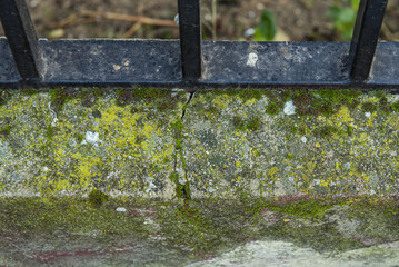 Stone curb with a layer of verdin and a black metal railing